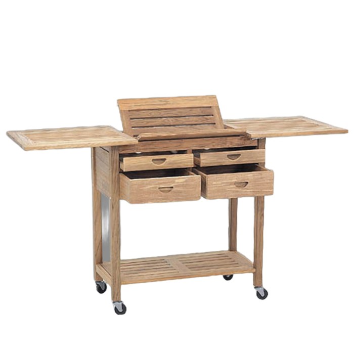 Buy LITADA Acacia Wood Plant Caddy (Set of 2) Plant Dolly Heavy Duty ...